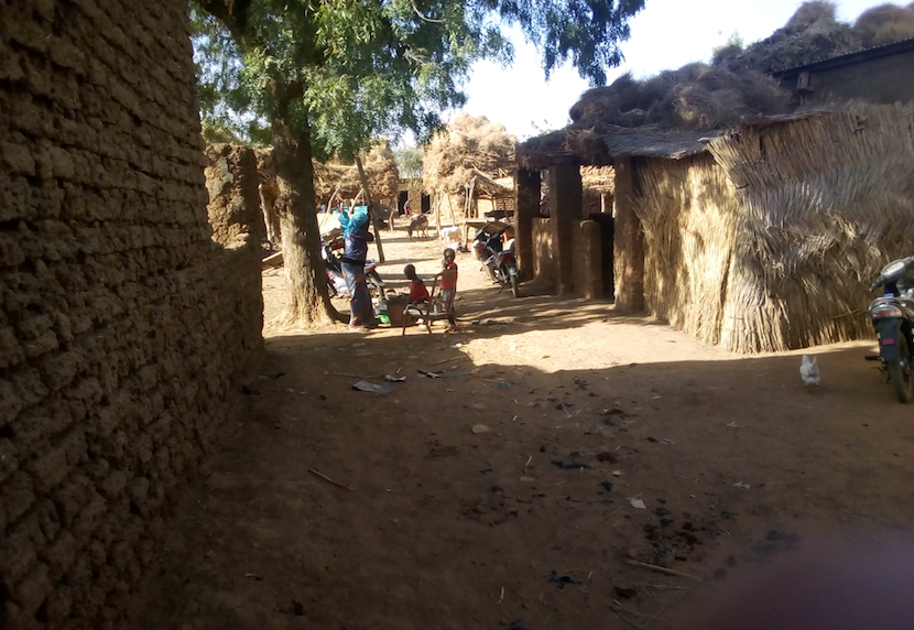 Mopti chez les Dogon